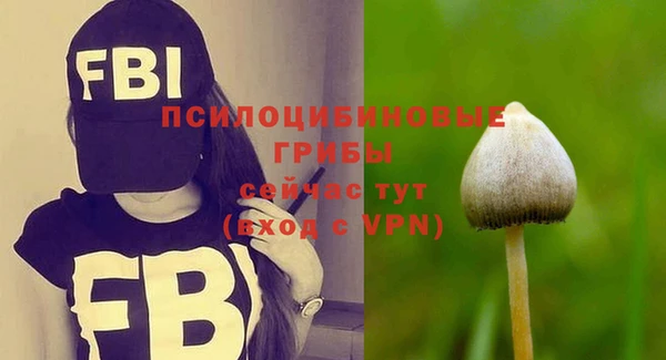 мескалин Бугульма